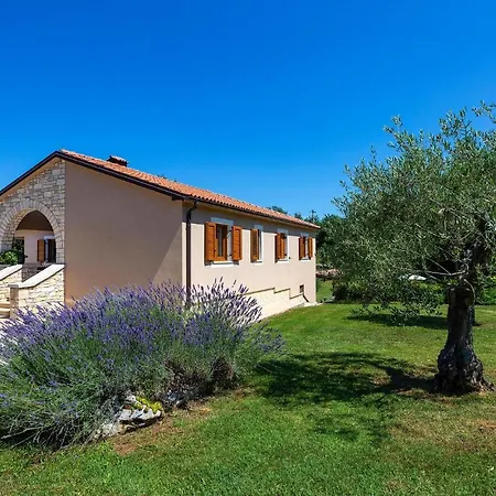 Holiday Krizanci I Tatil Evi Žminj